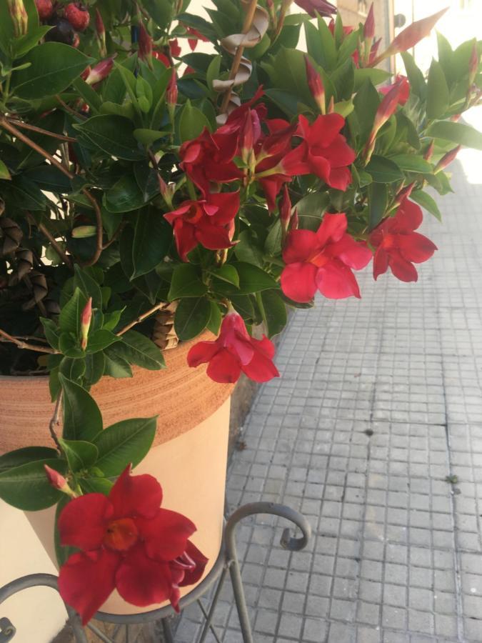 דירות אלגהרו Carrer Dels Horts מראה חיצוני תמונה
