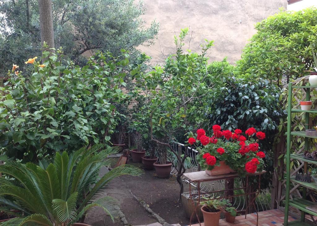 דירות אלגהרו Carrer Dels Horts מראה חיצוני תמונה