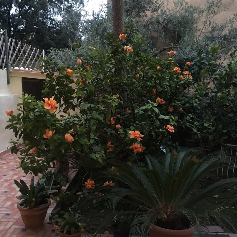 דירות אלגהרו Carrer Dels Horts מראה חיצוני תמונה