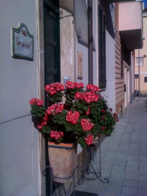 דירות אלגהרו Carrer Dels Horts מראה חיצוני תמונה